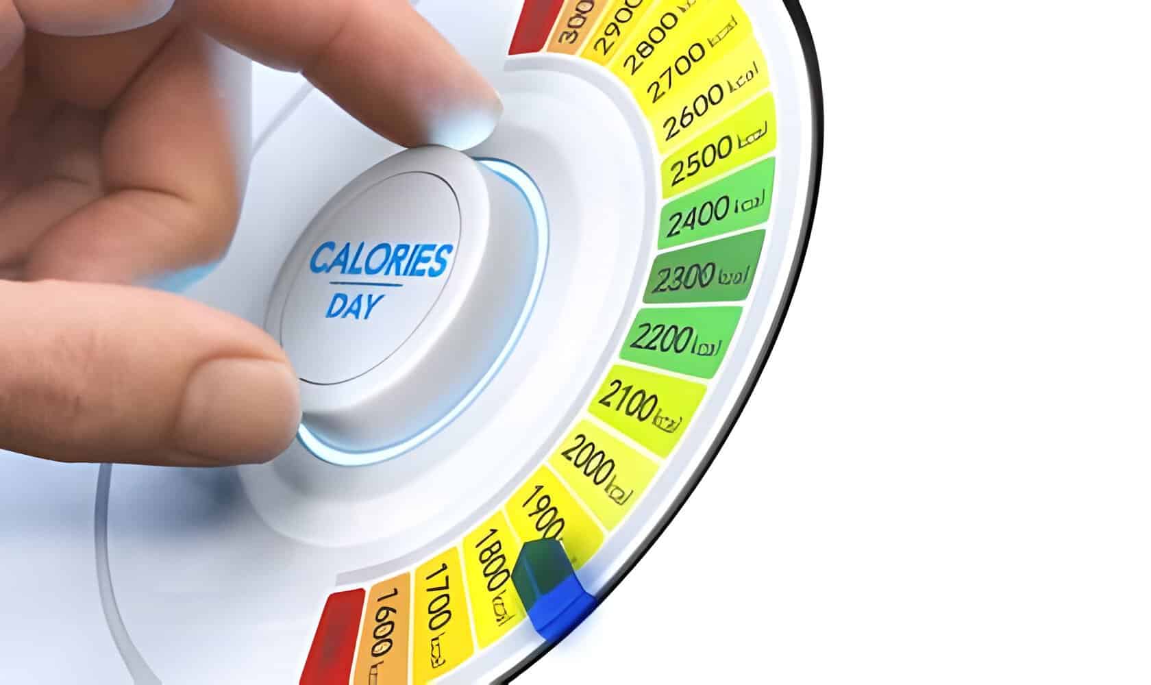 Calculateur calories