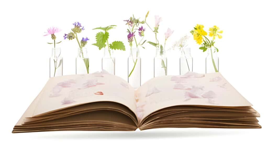Fleurs de bach perte de poids