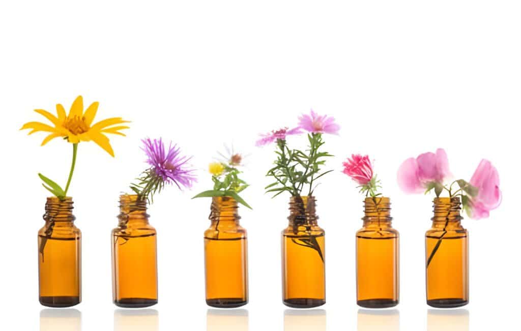 Fleurs de bach perte de poids : Méthodes et Astuces à Connaître