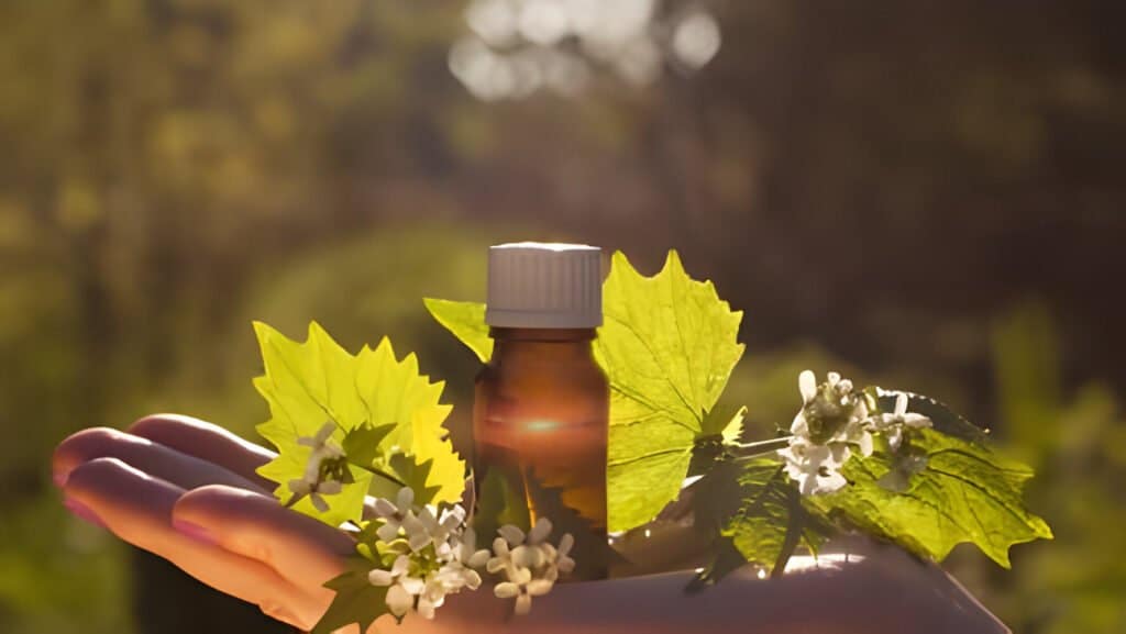 Fleurs de bach perte de poids : Méthodes et Astuces à Connaître