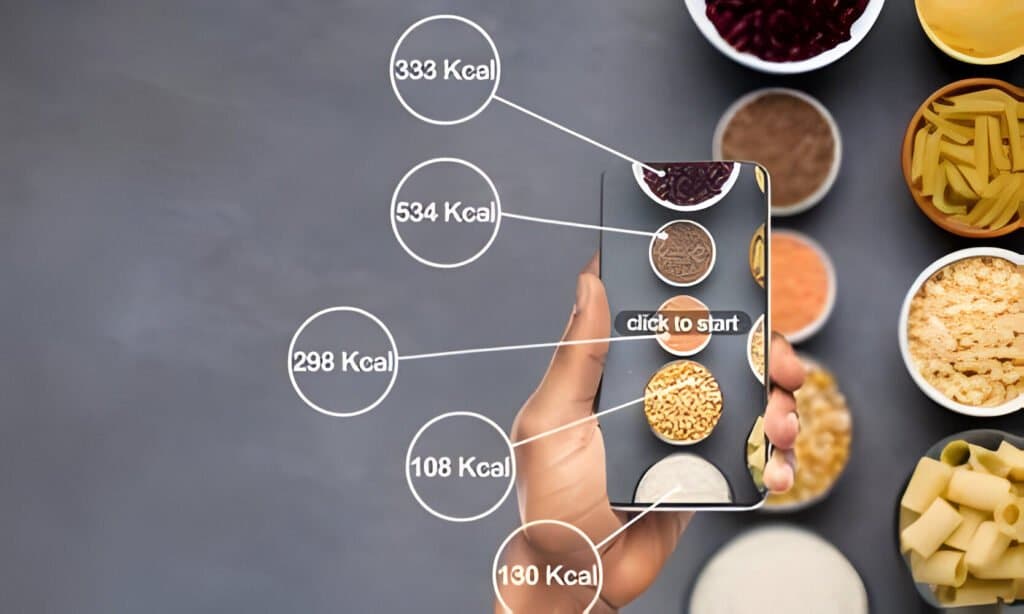 calcul calories par jour