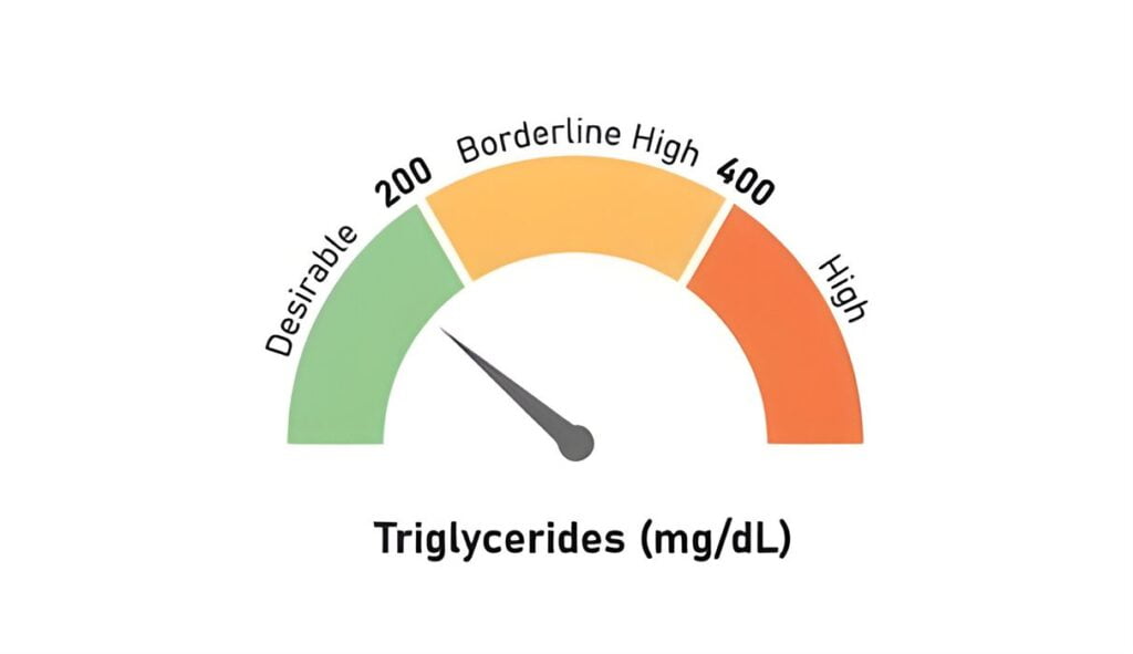 Les Risques pour la Santé associés aux Triglycérides Élevés