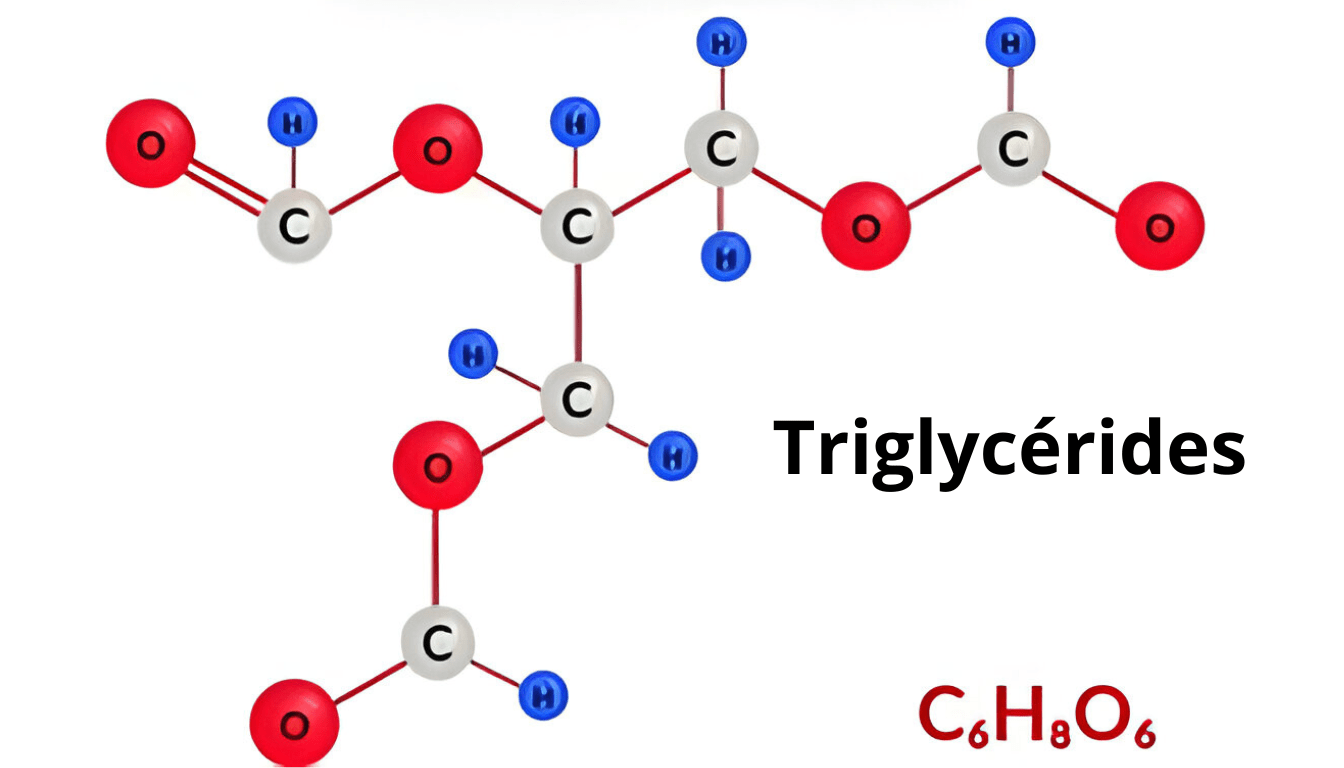 réduire les triglycérides