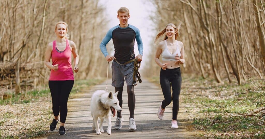 marche active